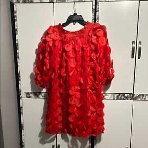 Vibrant Red Textured Dress